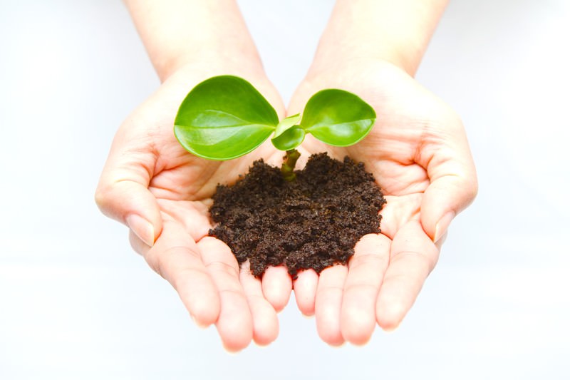 環境配慮消費アイコン