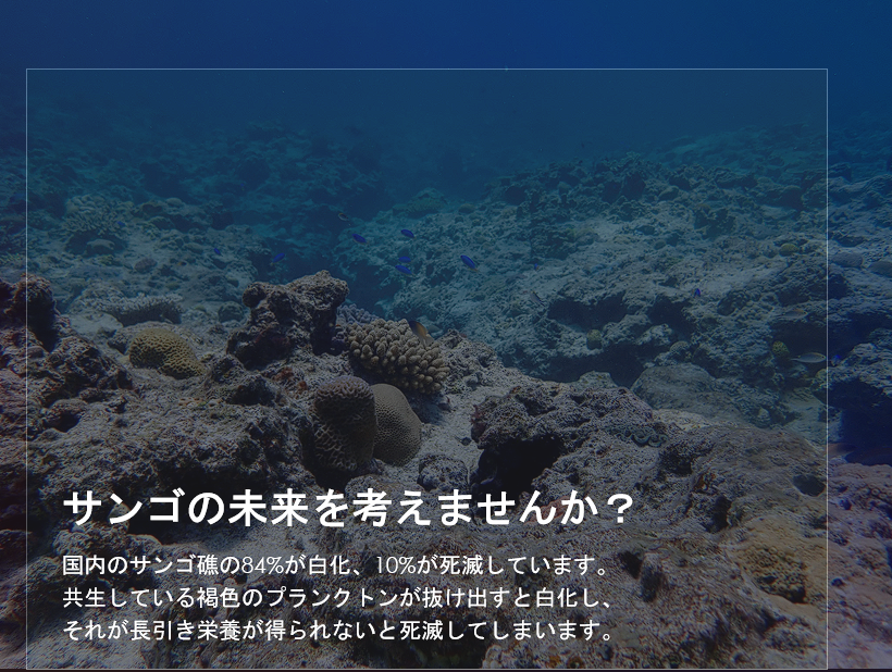 制作したポスター例